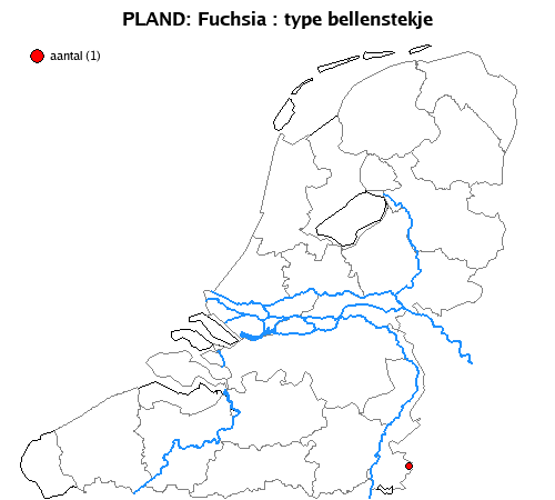 bellenstekje