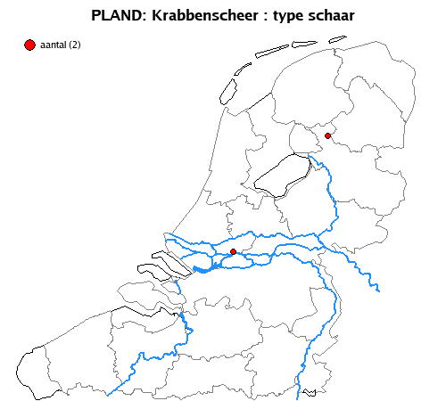 schaar