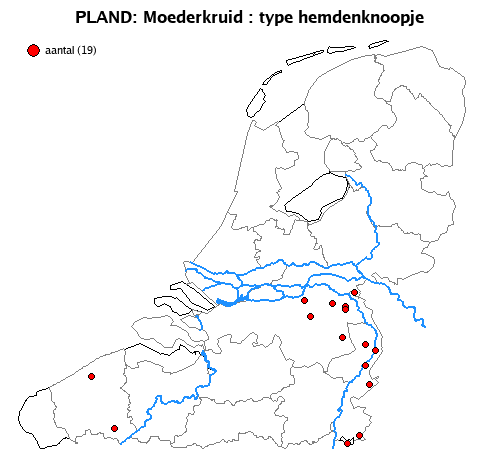 hemdenknoopje