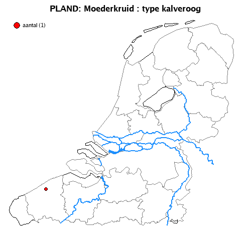 kalveroog