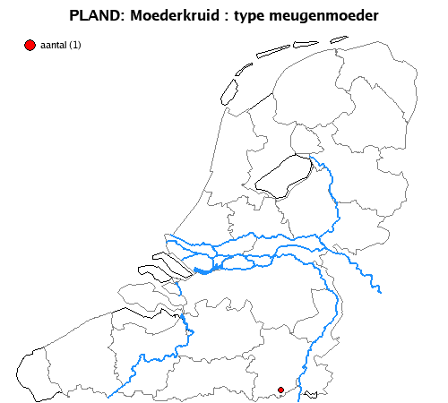 meugenmoeder