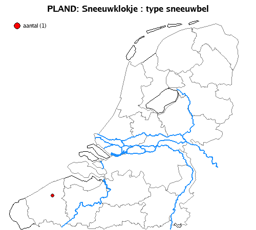 sneeuwbel