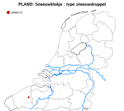 sneeuwdruppel