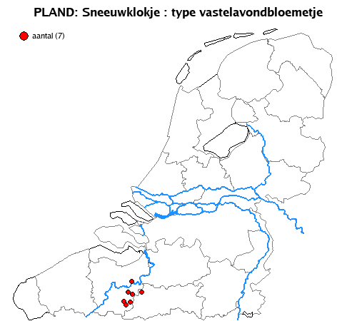 vastelavondbloemetje