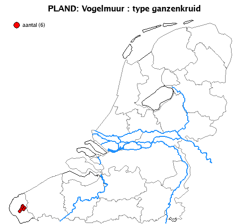 ganzenkruid