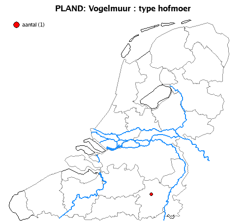 hofmoer