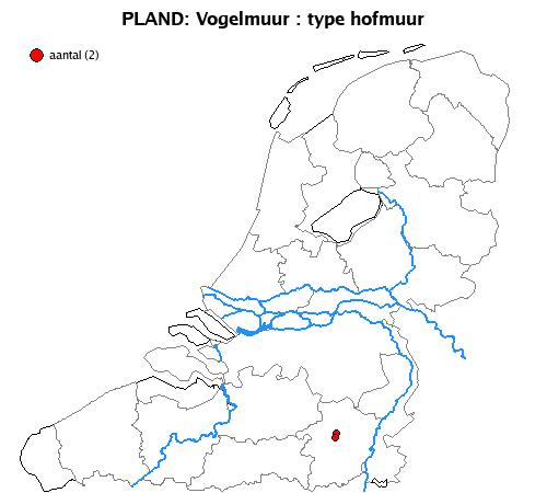 hofmuur