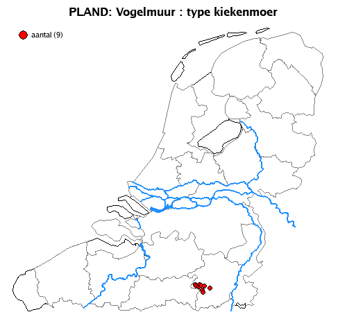 kiekenmoer