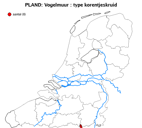 korentjeskruid