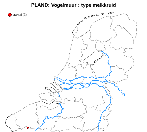 melkkruid