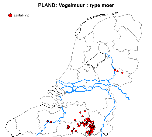 moer