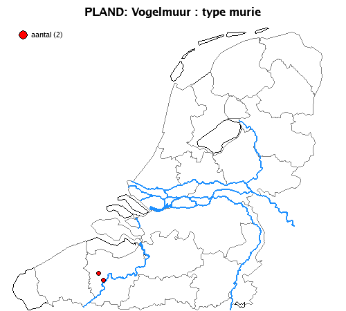 murie
