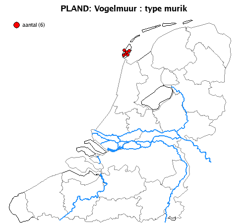 murik