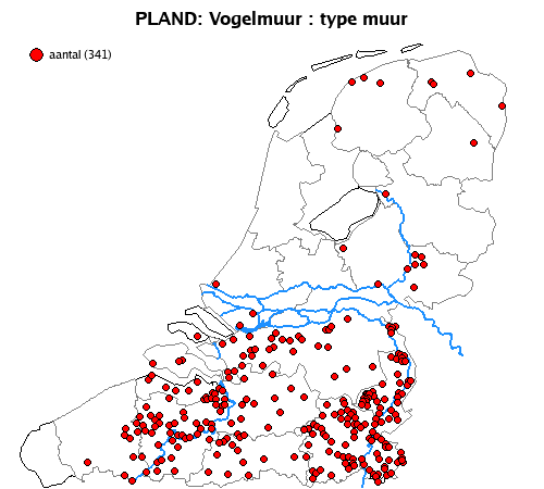 muur