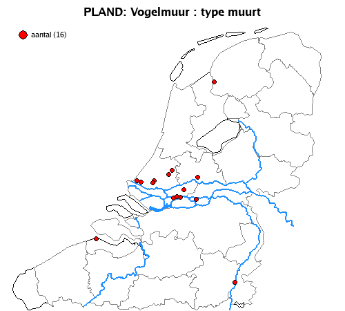 muurt