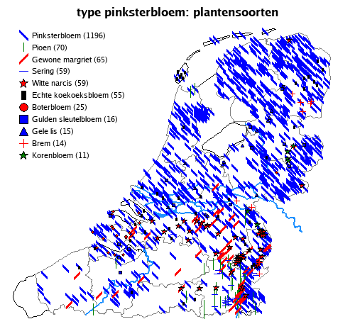 pinksterbloem